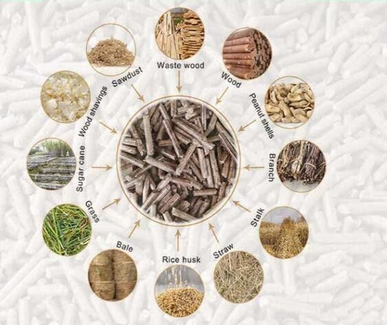ตลาดปลา เครื่องอาหารสัตว์ pellets กับ 55KW และ 0.75KW พลังงาน feeder